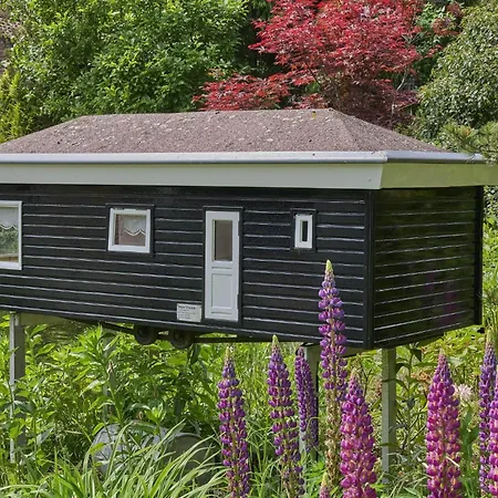 Hermelijn * Hulshorst